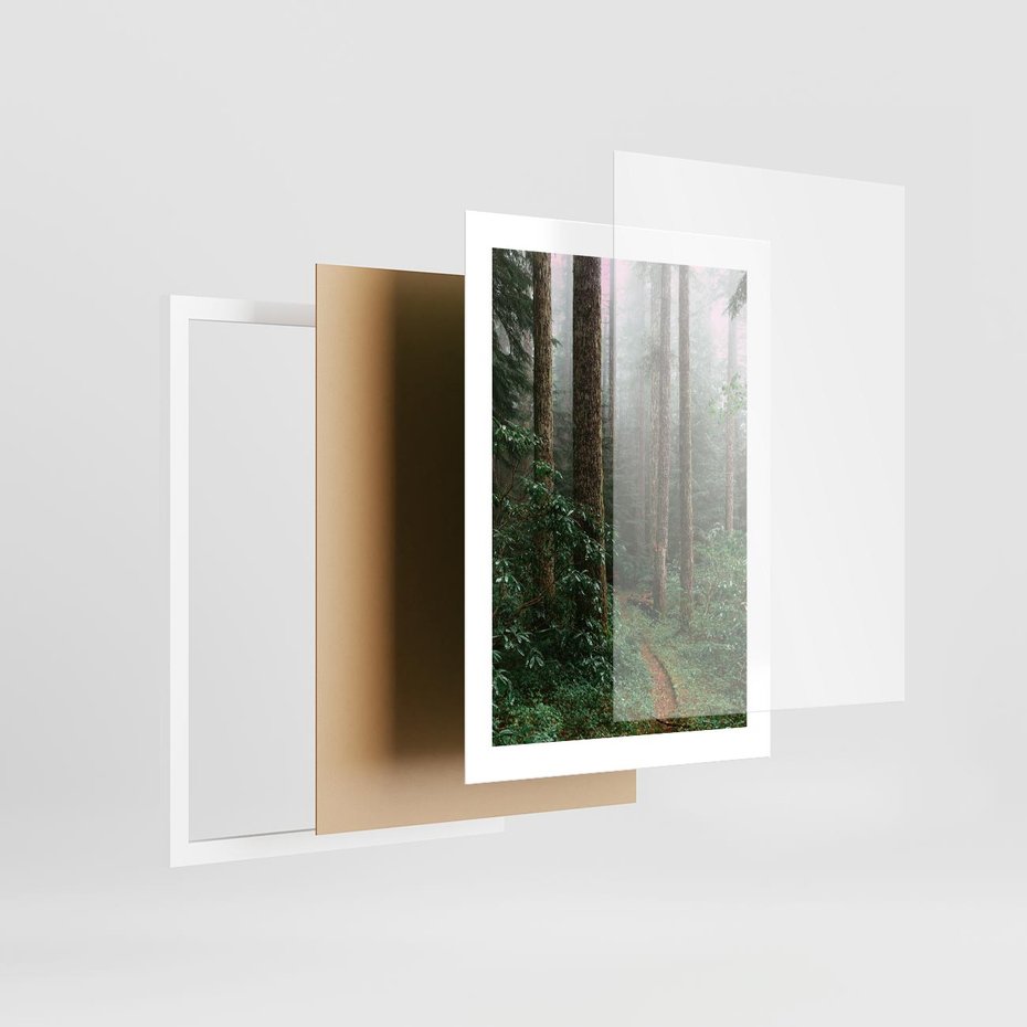 Plakat w ramie 30x40 - Mgliste Marzenia - artystyczna fotografia, las - rama biała