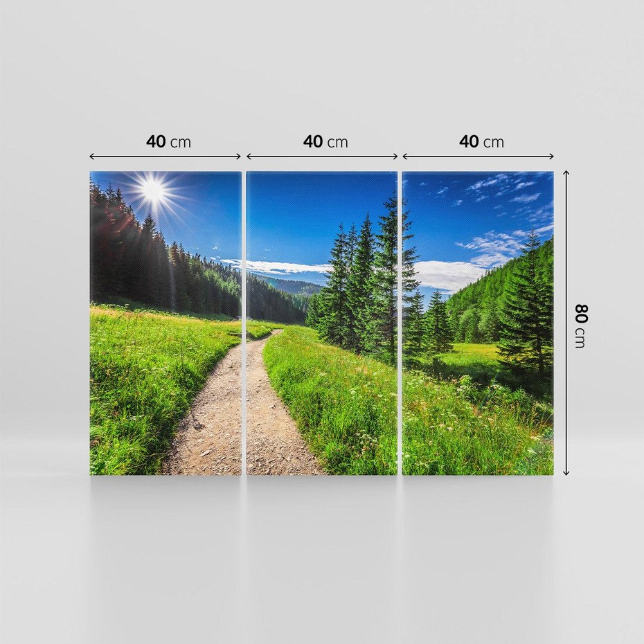 Obraz na płótnie 120x80 - Harmonia natury - góry, łąka