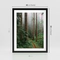 Plakat w ramie 40x50 - Mgliste Marzenia - artystyczna fotografia, las - rama czarna