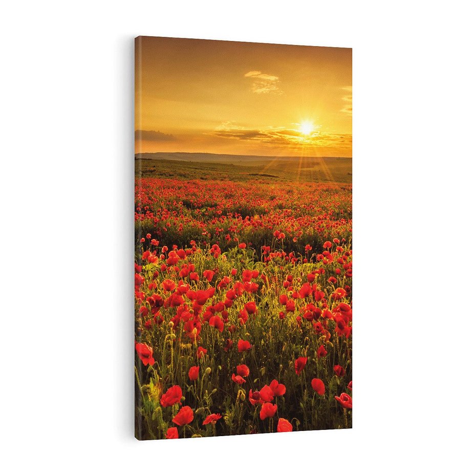 Obraz na płótnie 70x100 - Makowe uczucia - maki, kwiaty