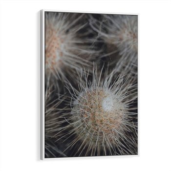 Obraz w ramie 80x120 - Ulotna Piękność Natury - makro, dmuchawce - rama biała