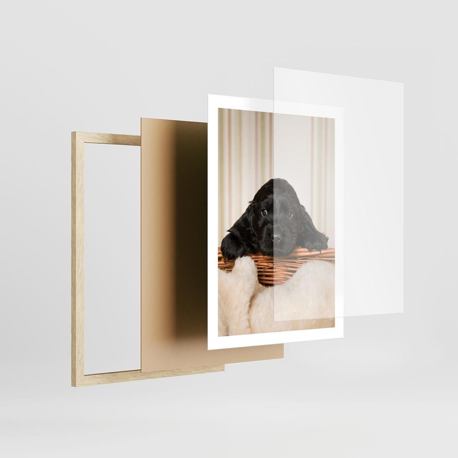 Plakat w ramie 50x70 - Uroczy szczeniak w akcji - piesek, szczeniak - rama drewno