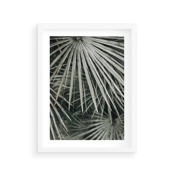 Plakat w ramie 50x70 - Ujęcie Tropikalnej Natury - palmy, liście palmy - rama biała