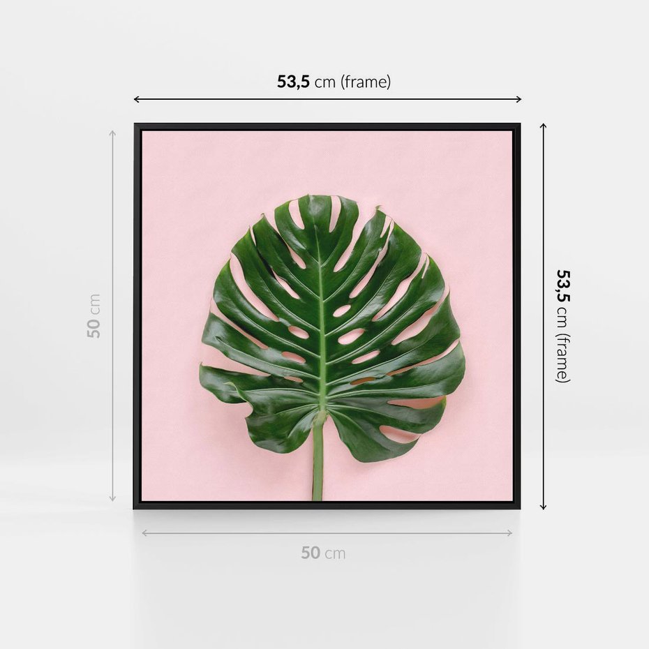 Obraz w ramie 50x50 - Egzotyczna Roślinność - liście, monstera - rama czarna