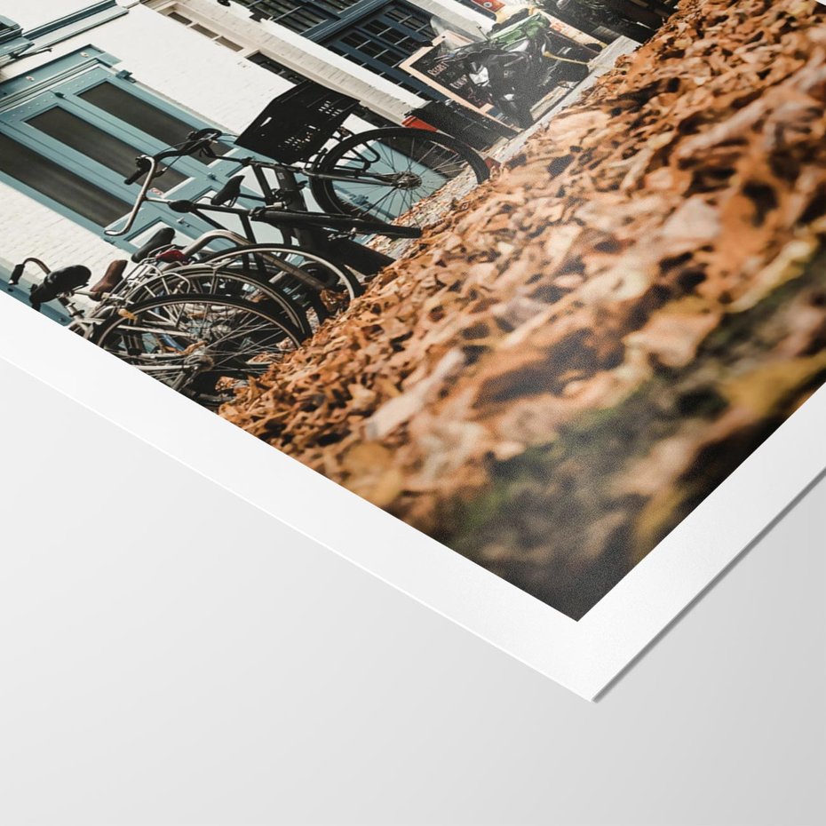 Plakat bez ramy 40x50 - Rowery w Mieście pełnym Liści - rower, miasto