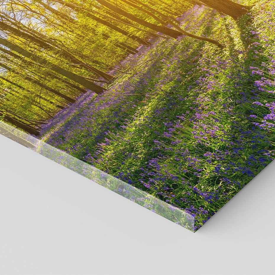 Obraz na płótnie 50x50 - Uroda lasu: harmonia drzew - las, drzewa