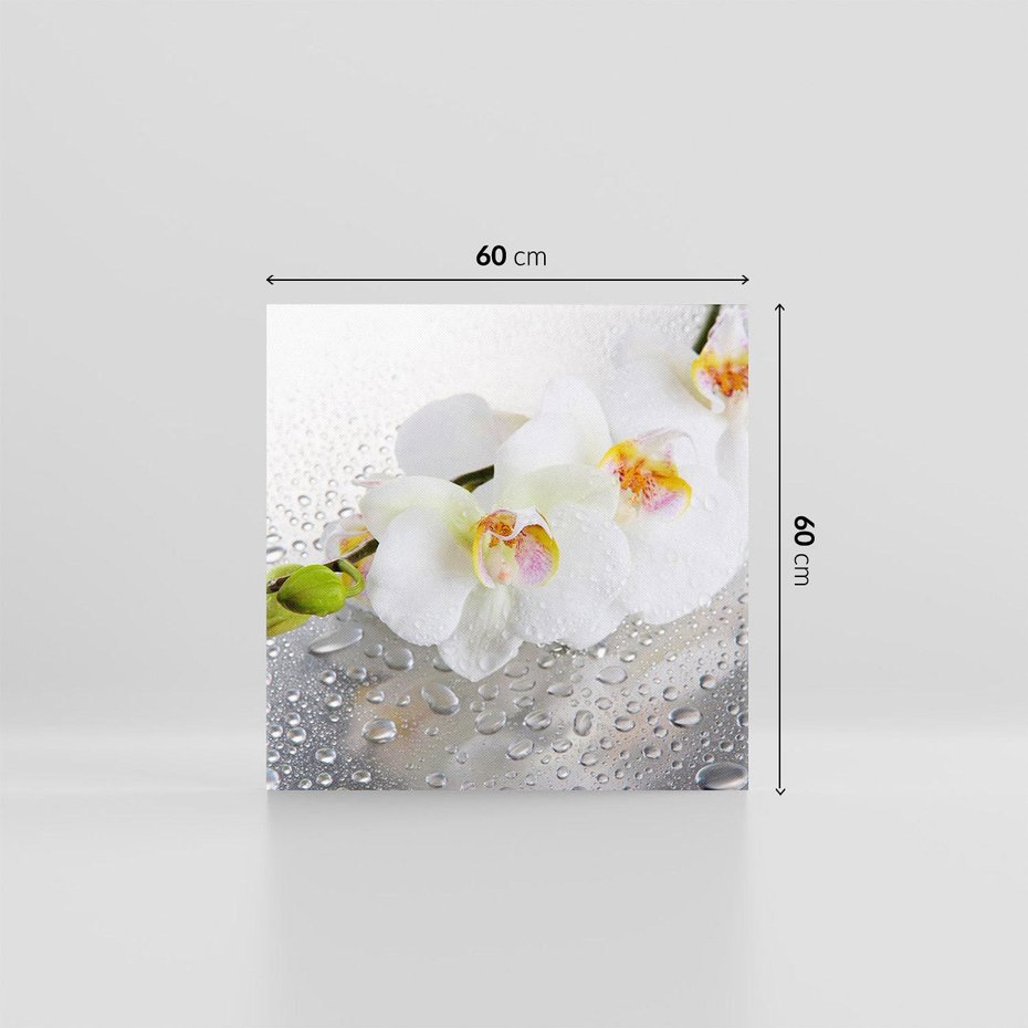 Obraz na płótnie 60x60 - Kwiatowy rój - kwiaty, kwiat