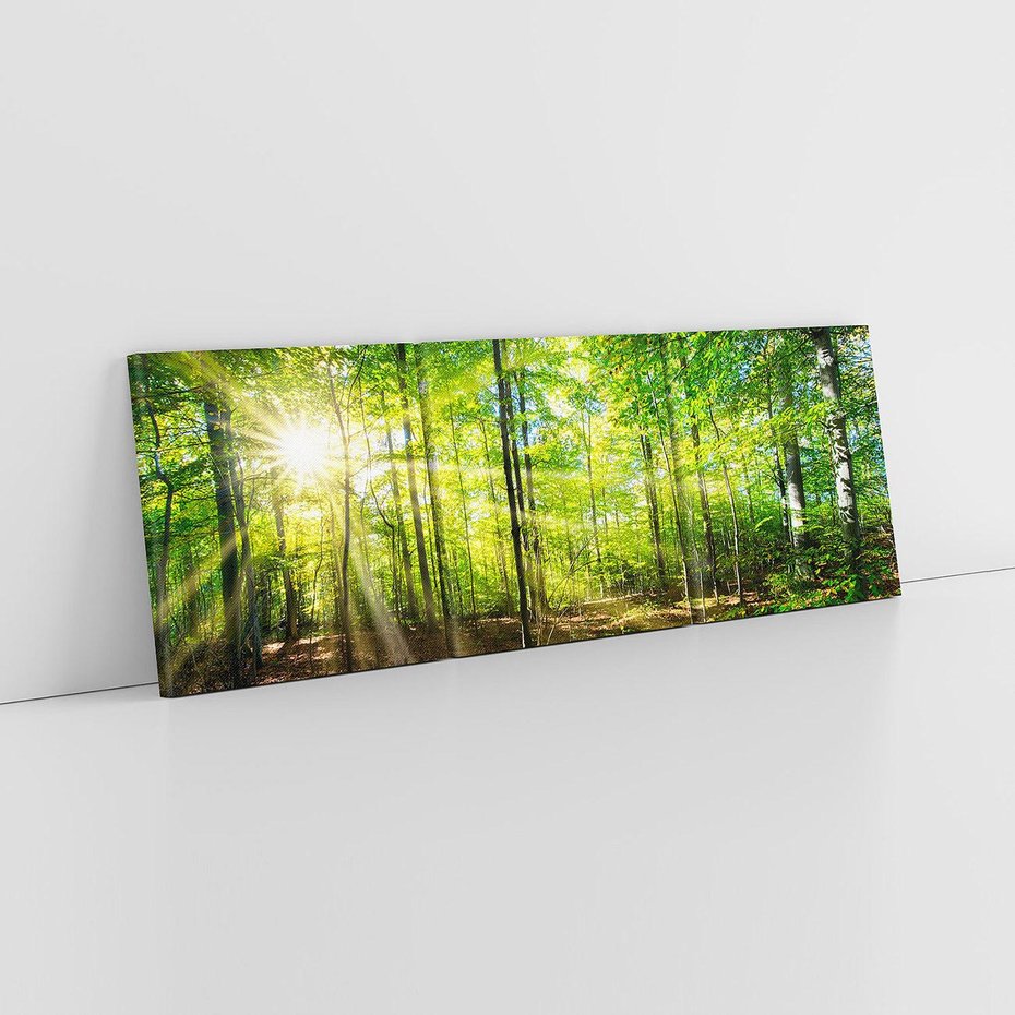 Obraz na płótnie 150x50 - Drzewa w harmonii - las, drzewa