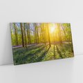 Obraz na płótnie 100x50 - Uroda lasu: harmonia drzew - las, drzewa