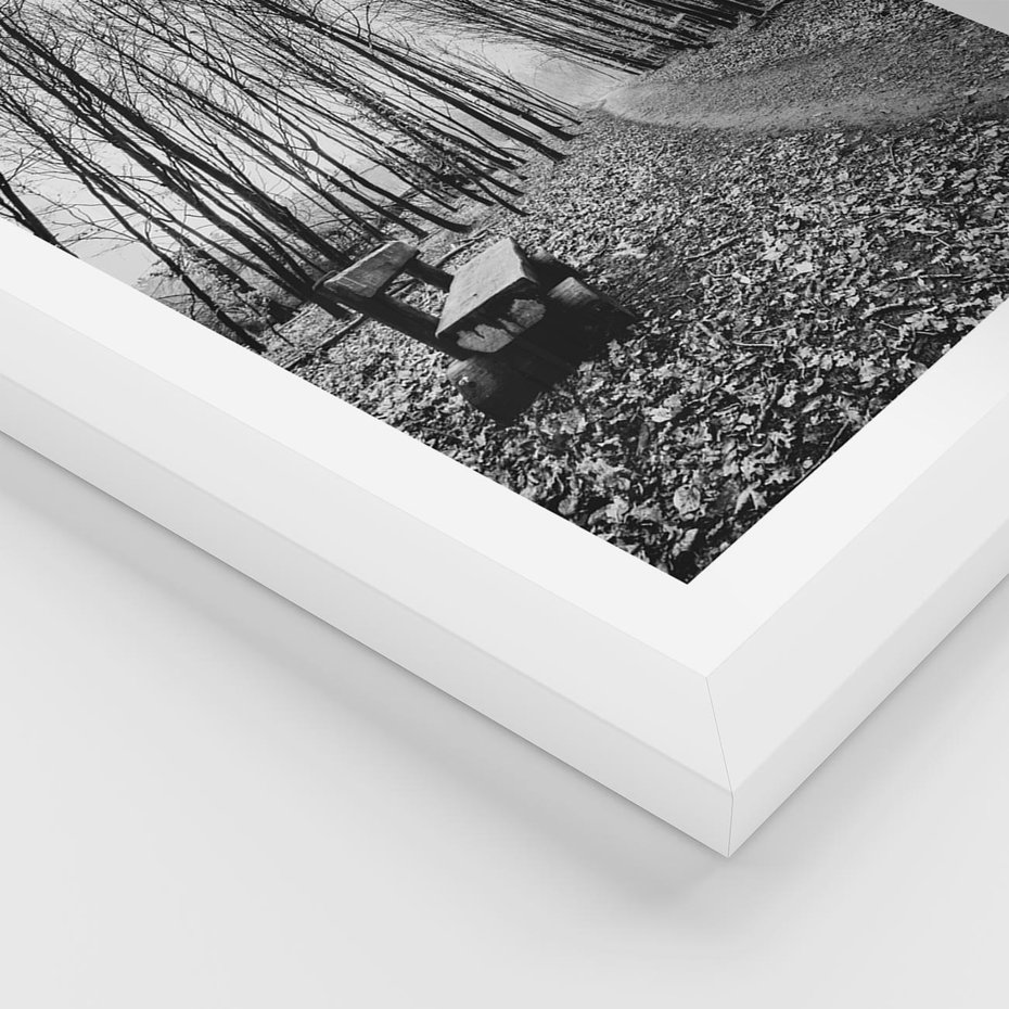 Plakat w ramie 50x70 - Spadające Liście - czarno białe zdjecie, park - rama biała