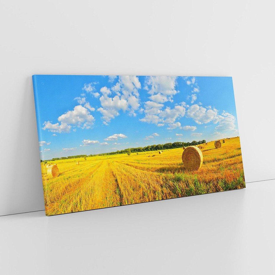 Obraz na płótnie 100x50 - Urok rolnictwa: Trawa w pełnym rozkwicie - rolnictwo, trawa