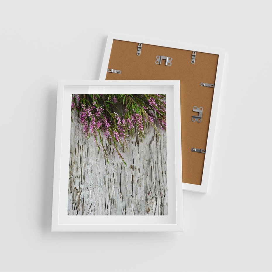 Plakat w ramie 40x50 - Fioletowe Wrzosy - wrzosy, fiolet - rama biała