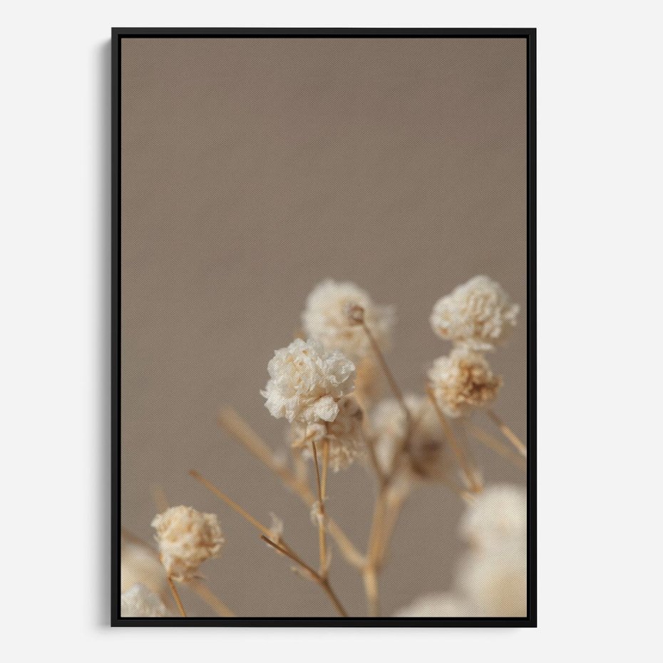 Obraz w ramie 70x100 - Przezroczyste piękno - gipsówka, suche - rama czarna