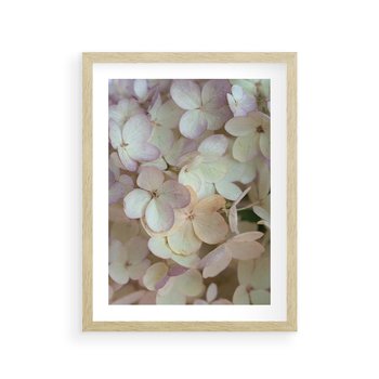 Plakat w ramie 30x40 - Kwiatowy taniec - kwiaty, hortensje - rama drewno
