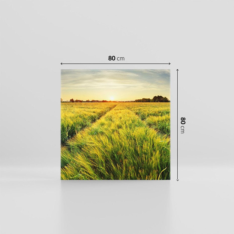 Obraz na płótnie 80x80 - Idylliczna łąka - łąka, natura