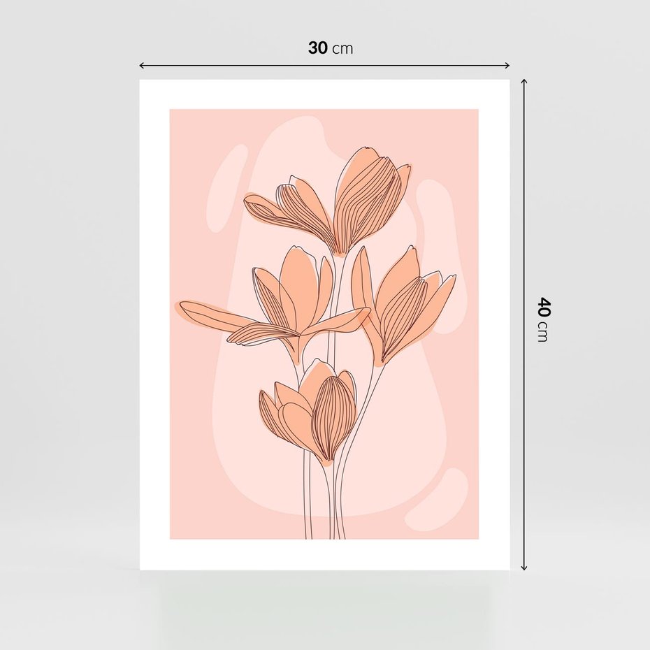 Plakat bez ramy 30x40 - Przenikające Kształty - minimalistyczny plakat, pudrowe kwiaty