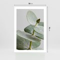 Plakat bez ramy 50x70 - Eukaliptusowa zieleń - eukaliptus, zielone
