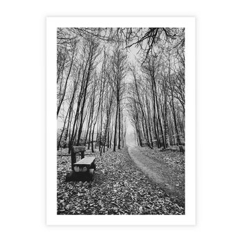 Plakat bez ramy 21x30 - Spadające Liście - czarno białe zdjecie, park