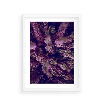 Plakat w ramie 30x40 - Wrzosowa Delikatność - wrzosy, kwiaty - rama biała