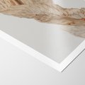 Plakat bez ramy 30x40 - Suszone piękno - susz, suche