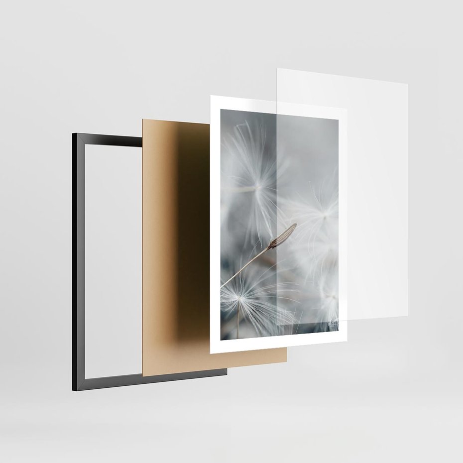 Plakat w ramie 50x70 - Piękno w Delikatności - dmuchawiec, makro zdjęcie - rama czarna