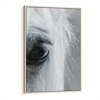 Obraz w ramie 50x70 - Oko Mocy - czarno białe zdjęcie, zbliżenie makro na oko konia - rama drewno