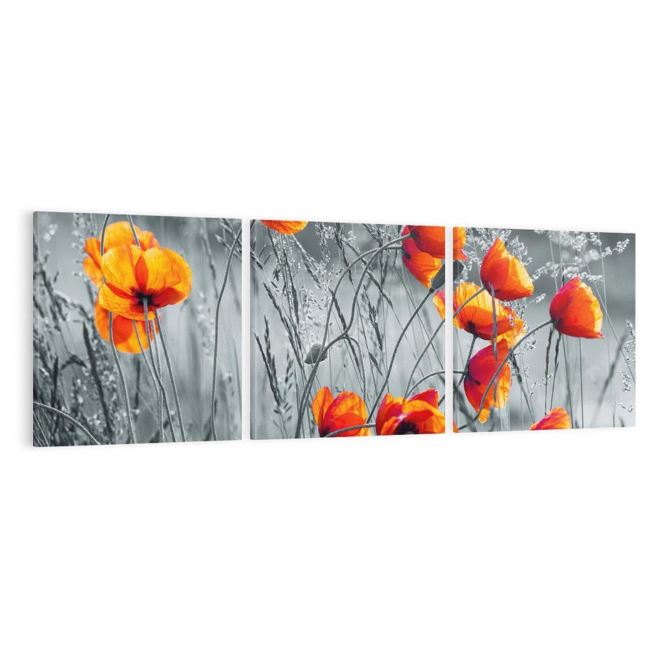 Obraz na płótnie 120x40 - Malownicza łąka - maki, mak