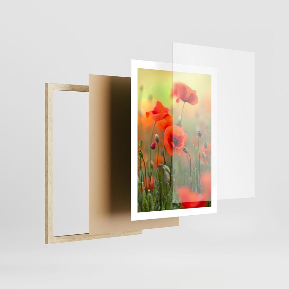 Plakat w ramie 50x70 - Makowa Pasja - maki, kwiaty - rama drewno