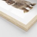 Plakat w ramie 30x40 - Delikatna Zwierzęca Uroda - królik, zwierzę - rama drewno