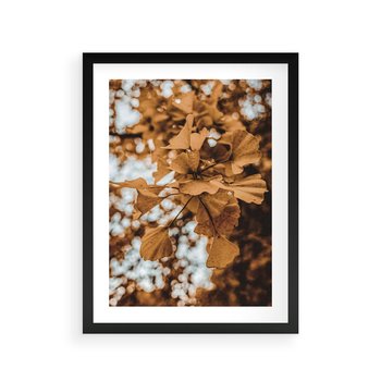 Plakat w ramie 30x40 - Nostalgiczny Miłorząb - miłorząb, liście - rama czarna