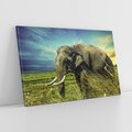 Obraz na płótnie 70x50 - Słoń w sawannie: Spotkanie z dziką przyrodą - słoń, sawanna