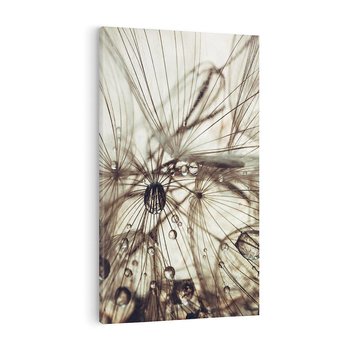 Obraz na płótnie 80x120 - Lekkie dmuchawce - dmuchawce, krople