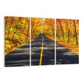 Obraz na płótnie 120x80 - Droga przez jesienny las - droga, las