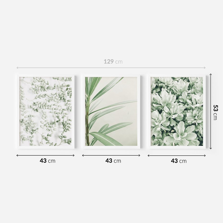 Zestaw obrazy w ramie 40x50 galeria - Liście, zieleń, minimalizm - rama biała