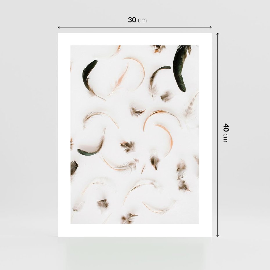 Plakat bez ramy 30x40 - Kompozycja z Piór - pióra, kompozycja