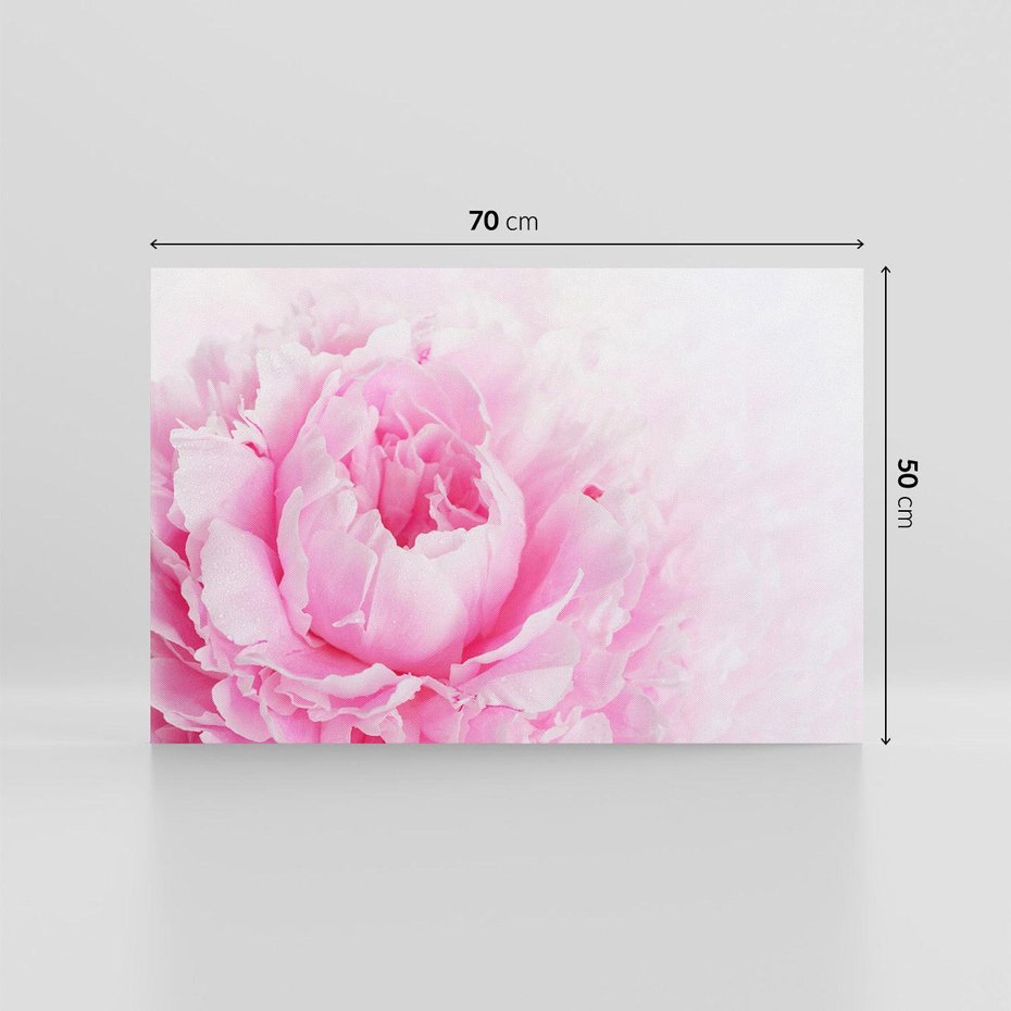 Obraz na płótnie 70x50 - Kwiatowa harmonia - kwiaty