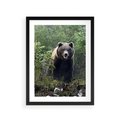 Plakat w ramie 30x40 - Spotkanie z Niedźwiedziem w Lesie - niedźwiedź, las - rama czarna