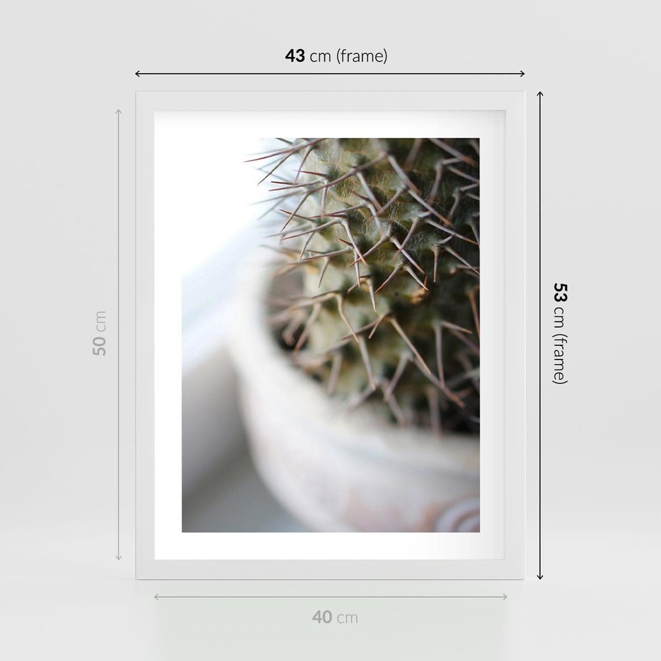 Plakat w ramie 40x50 - Kaktus w Zbliżeniu - kaktus, igły - rama biała