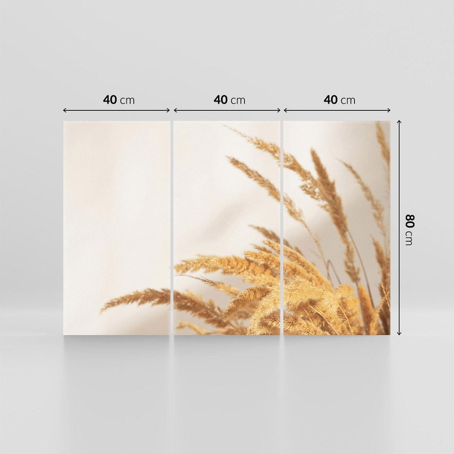 Obraz na płótnie 120x80 - Swobodne trawy boho - boho, suche