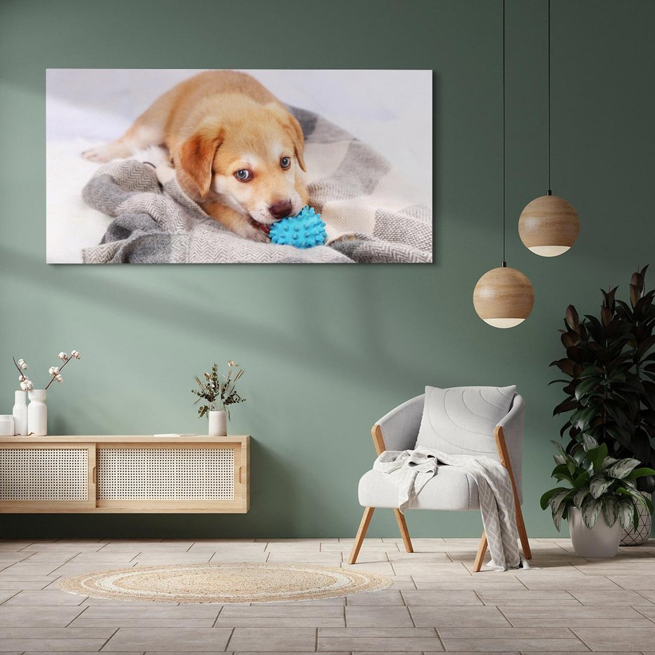 Obraz na płótnie 140x70 - Radość w zabawie: Piesek jako najlepszy przyjaciel - pies, piesek