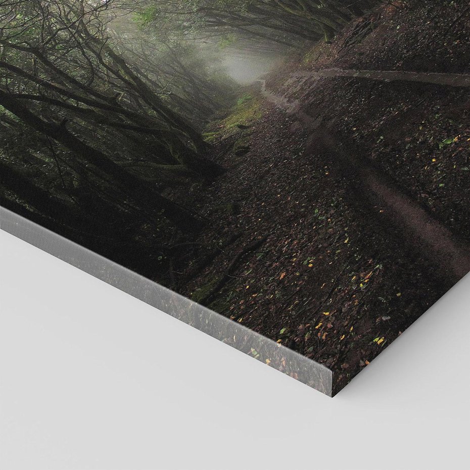 Obraz na płótnie 30x30 - Urok Drogi - las, droga