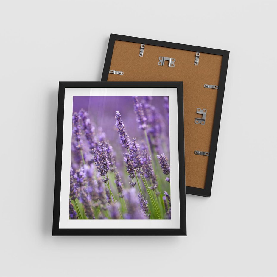 Plakat w ramie 40x50 - Urok lawendy - lawenda, kwiaty - rama czarna