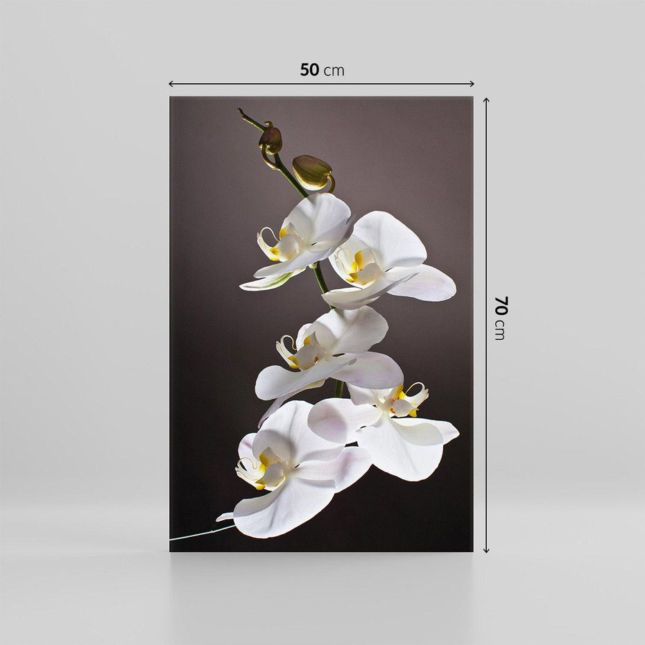 Obraz na płótnie 50x70 - SPA: harmonia z kwiatami - spa, kwiaty