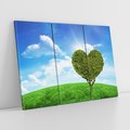 Obraz na płótnie 120x80 - Drzewo sercem nieba - drzewo, serce