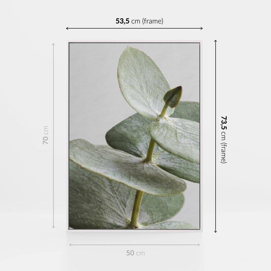 Obraz w ramie 50x70 - Eukaliptusowa zieleń - eukaliptus, zielone - rama biała