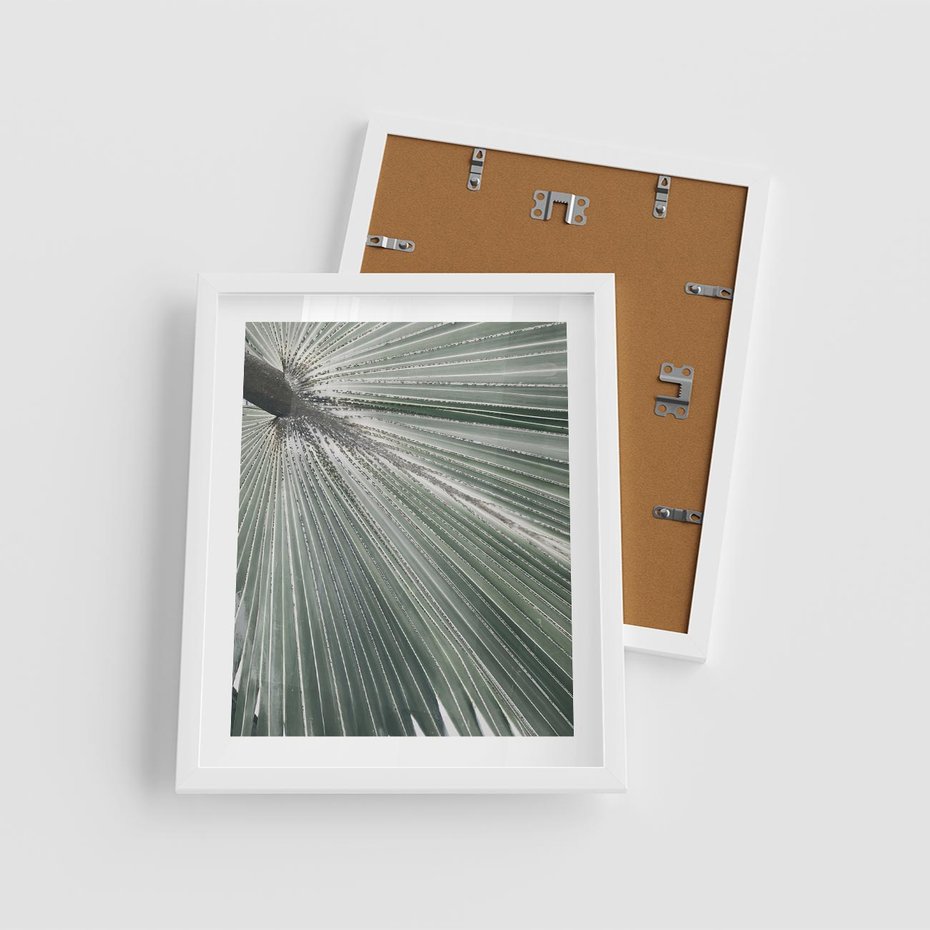 Plakat w ramie 40x50 - Jasnozielony Świat - palma, liść - rama biała