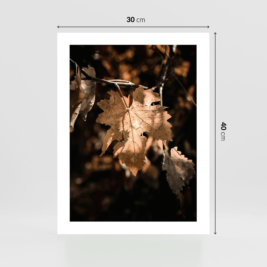 Plakat bez ramy 30x40 - Uroczy Liść na Drzewie - jesienny liść, żółty liść na drzewie