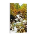 Obraz na płótnie 80x120 - Śpiew Strumienia - strumień, górski