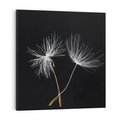 Obraz na płótnie 40x40 - Delikatność Wiatru - dmuchawce, makro