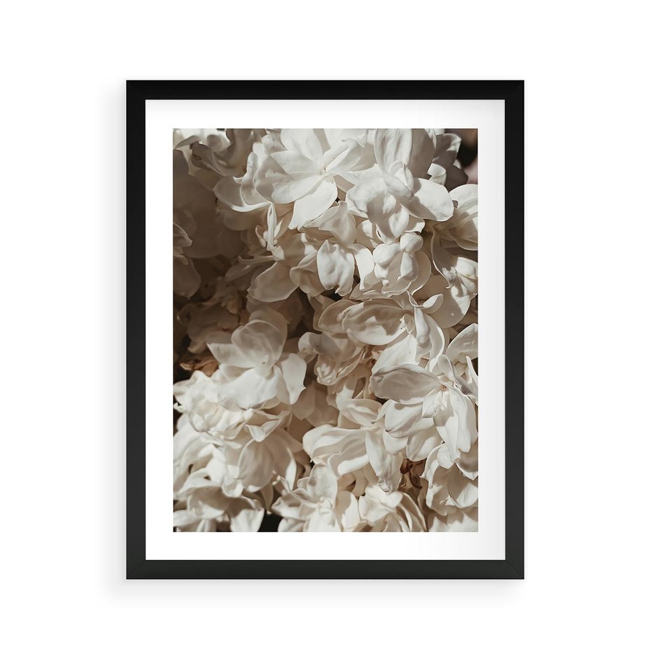 Plakat w ramie 40x50 - Płatki w Detalu - białe kwiaty, zbliżenie - rama czarna